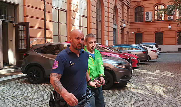 Místo výpovědi u soudu se opilec válel v parku, vyšetřovatelka si pro něj dojela