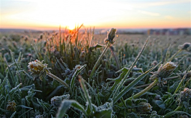Ráno na mnoha místech mrzlo, rekordy padaly na každé desáté stanici
