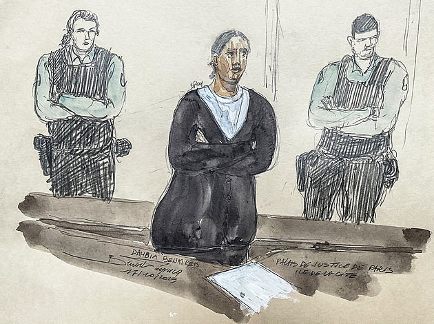 Padl trest za brutální vraždu malé Francouzky. Imigrantka dostala doživotí