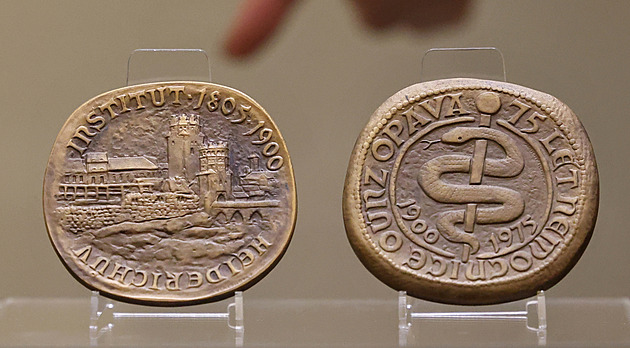 Cenzorům se medaile k výročí nemocnice v Opavě nelíbila, autorce se však vyplatila