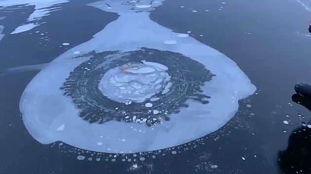 Žena se na Brněnské přehradě propadla ledem, strážníci ukázali nebezpečné bubliny