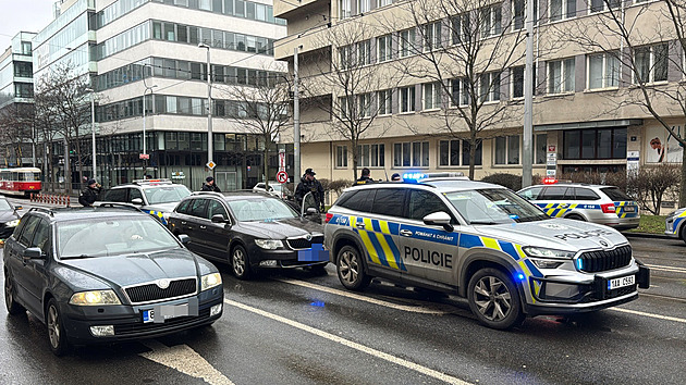 V Klatovech ukradla auto, zdrogovanou zlodějku zatkli policisté v Praze