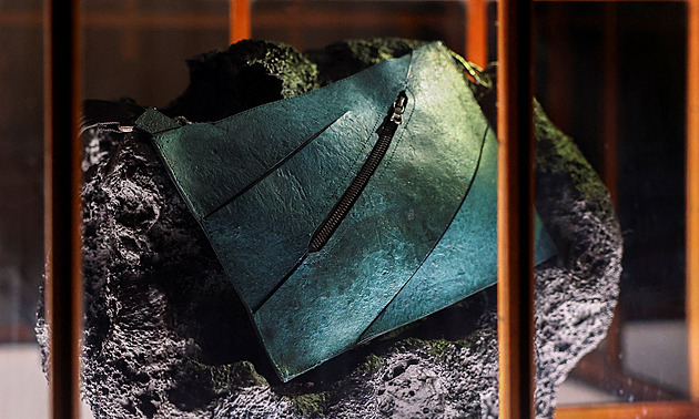 Luxusní kabelka z T-rexe jde do dražby, vyvolávací cena přesahuje 10 milionů