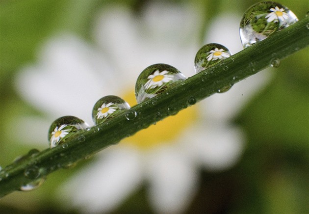 Začíná týden nadprůměrného tepla, západ Česka stíní saharský prach