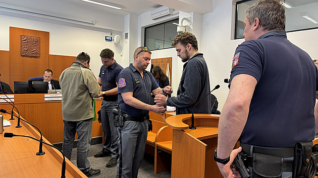 Objednal si manželčinu vraždu, dostal dvacet let, vykonavatel méně