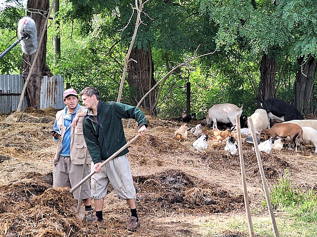Cesta vpřed, nebo do pasti? Film Jana Musila o koučích na všechno míří do kin