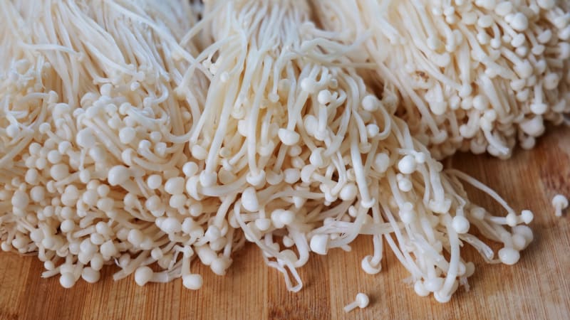 České obchody prodávaly zdraví ohrožující houby. Podle SZPI obsahovaly nebezpečné bakterie