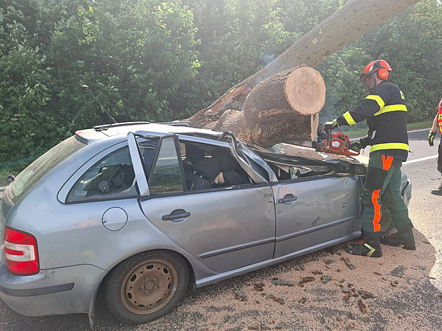 Na projíždějící auto spadl mohutný strom, řidič vyvázl s oděrkami od skla