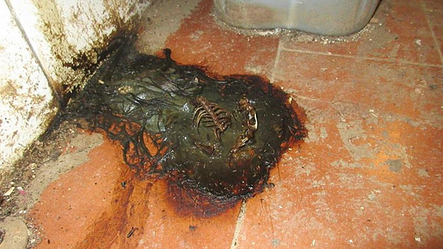 Kostry hlodavců a trus v troubě, inspekce zavřela thajsko-laoskou restauraci v Brně