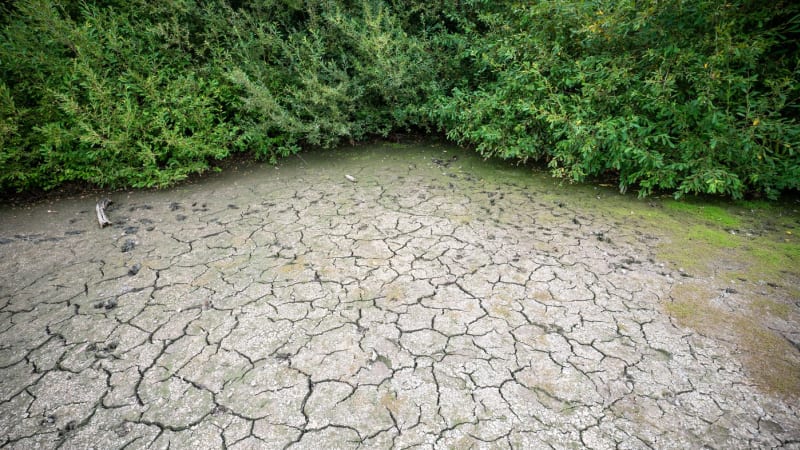 Svět čelí extrémnímu jevu El Niño. Už brzy může hladovět 50 milionů lidí, varují odborníci